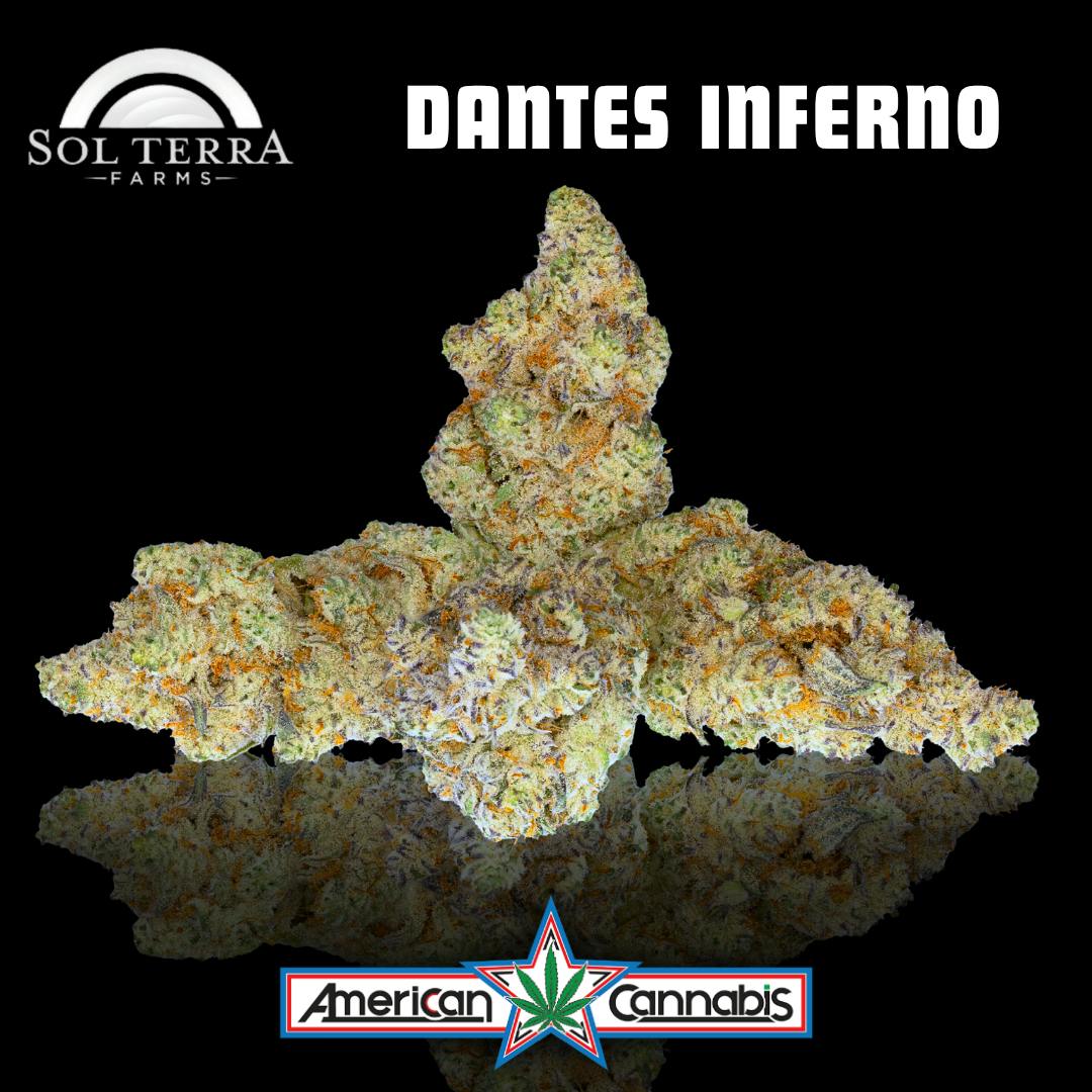 [Flower] Summit Genetics Dante's Inferno 14g [Indica]
