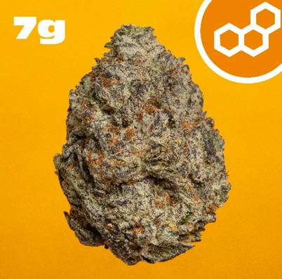 Theraplant Strawberry Cndy 7g Flower