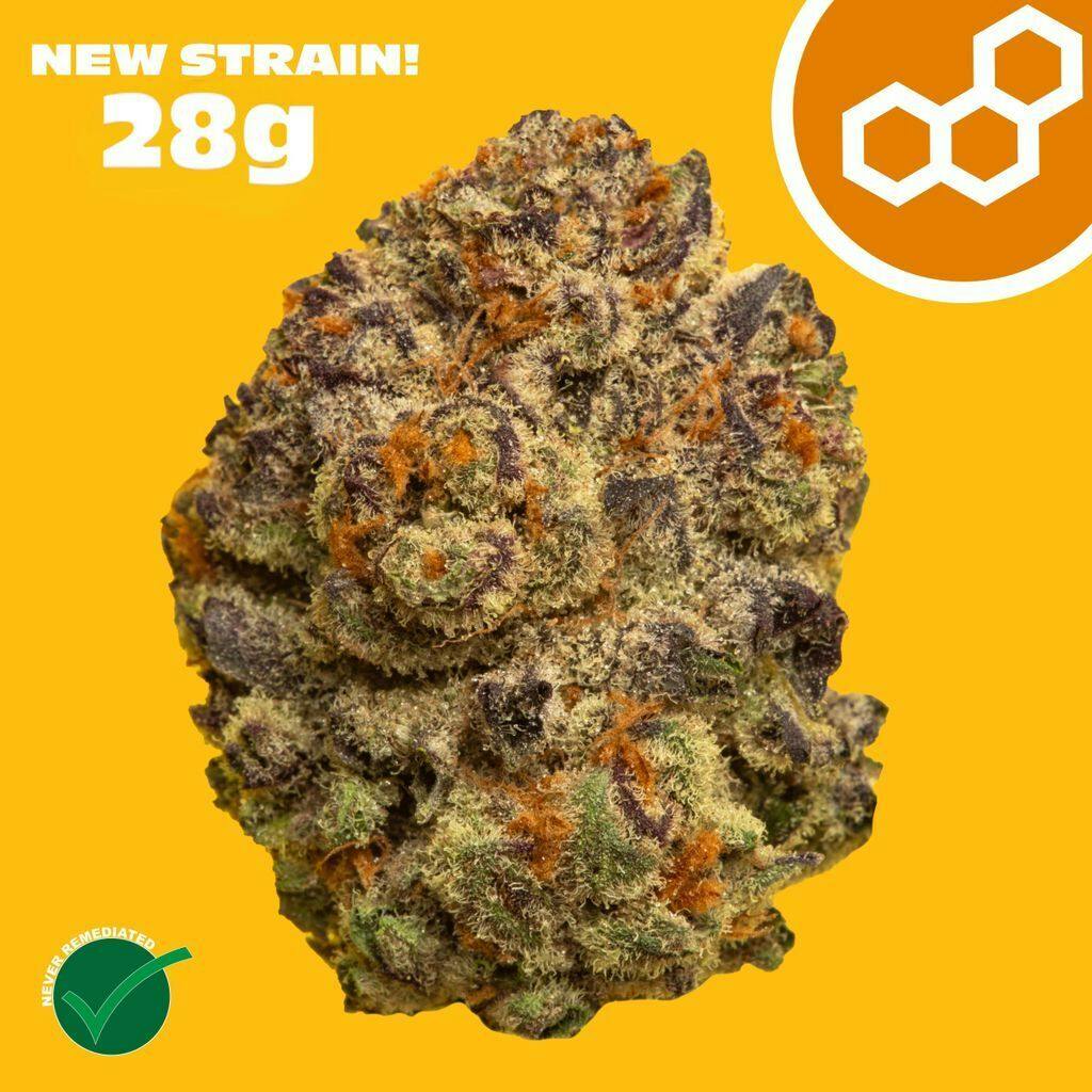 Theraplant Pinyatti 28g Flower