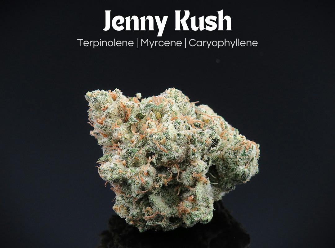 Farkas Farms: Jenny Kush