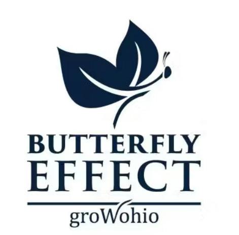 Butterfly Effect: Layer C - Live Resin Badder