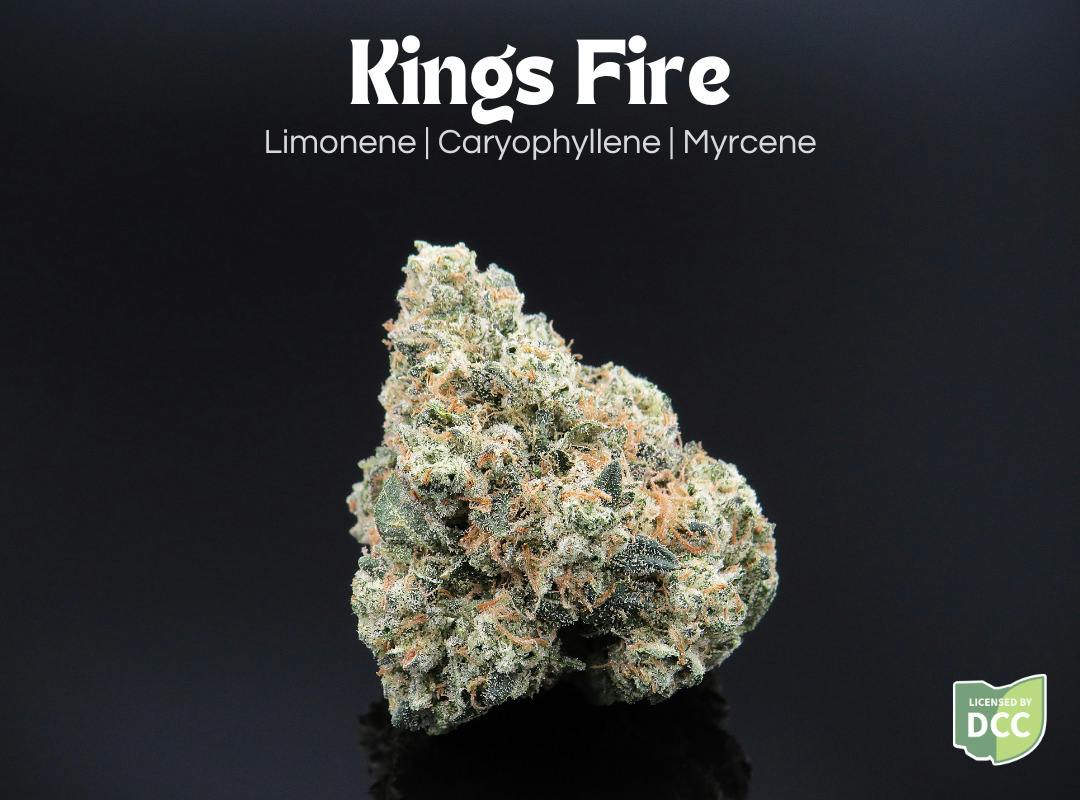 Farkas Farms: Kings Fire