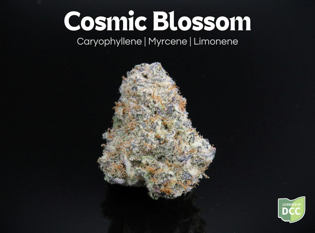 Farkas Farms: Cosmic Blossom - 1