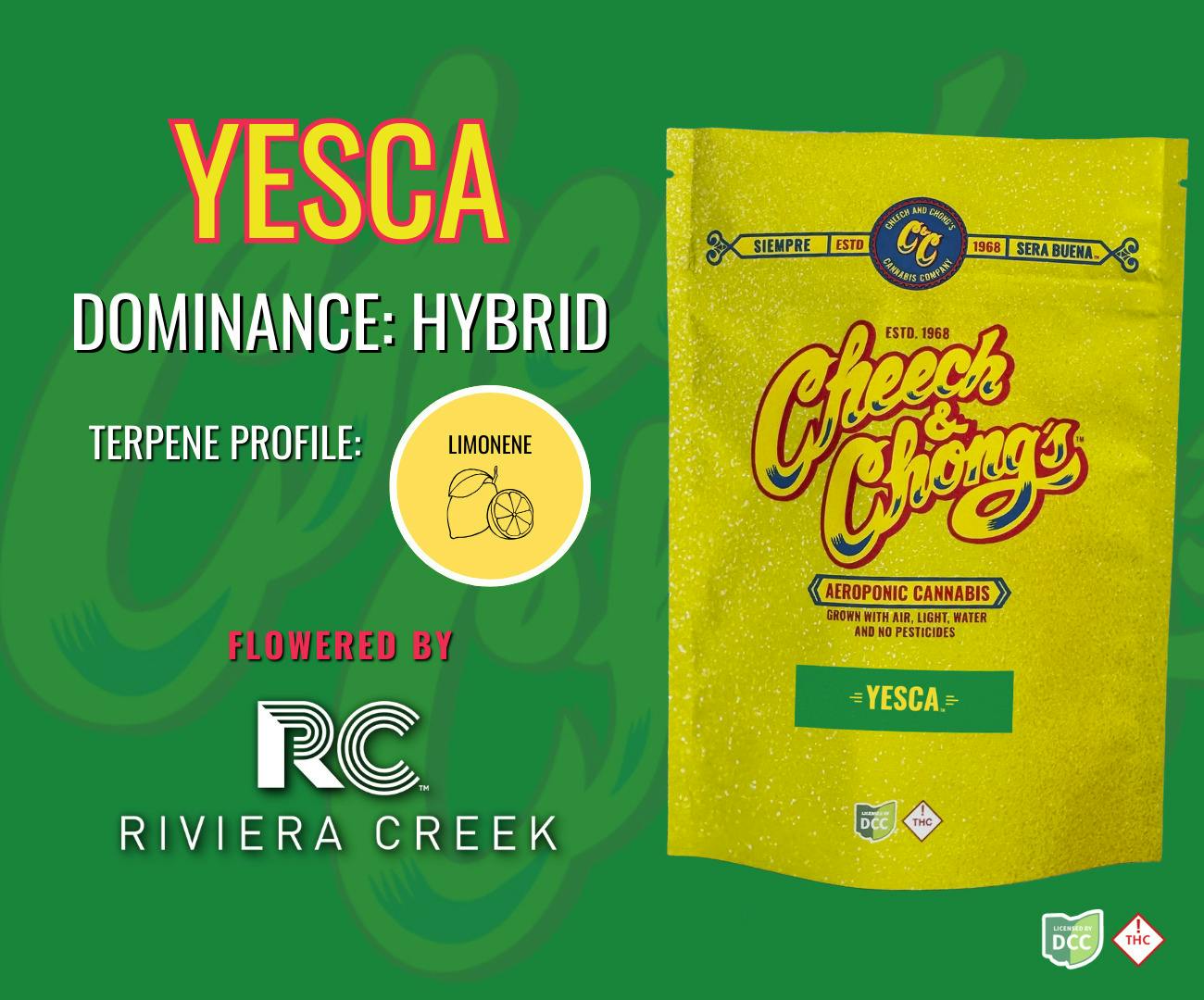 Cheech & Chong's: Yesca