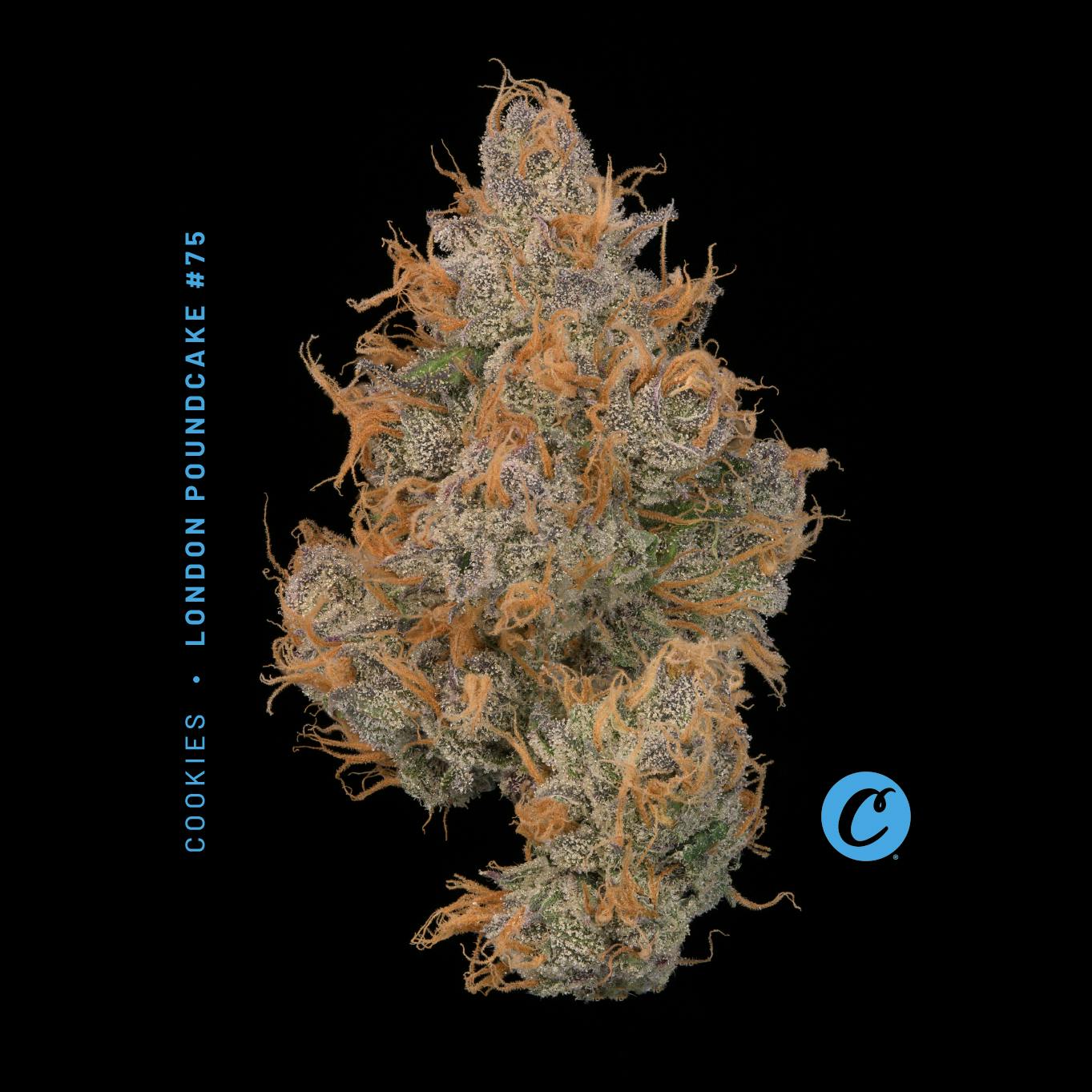 Cookies: London Pound Cake 75
