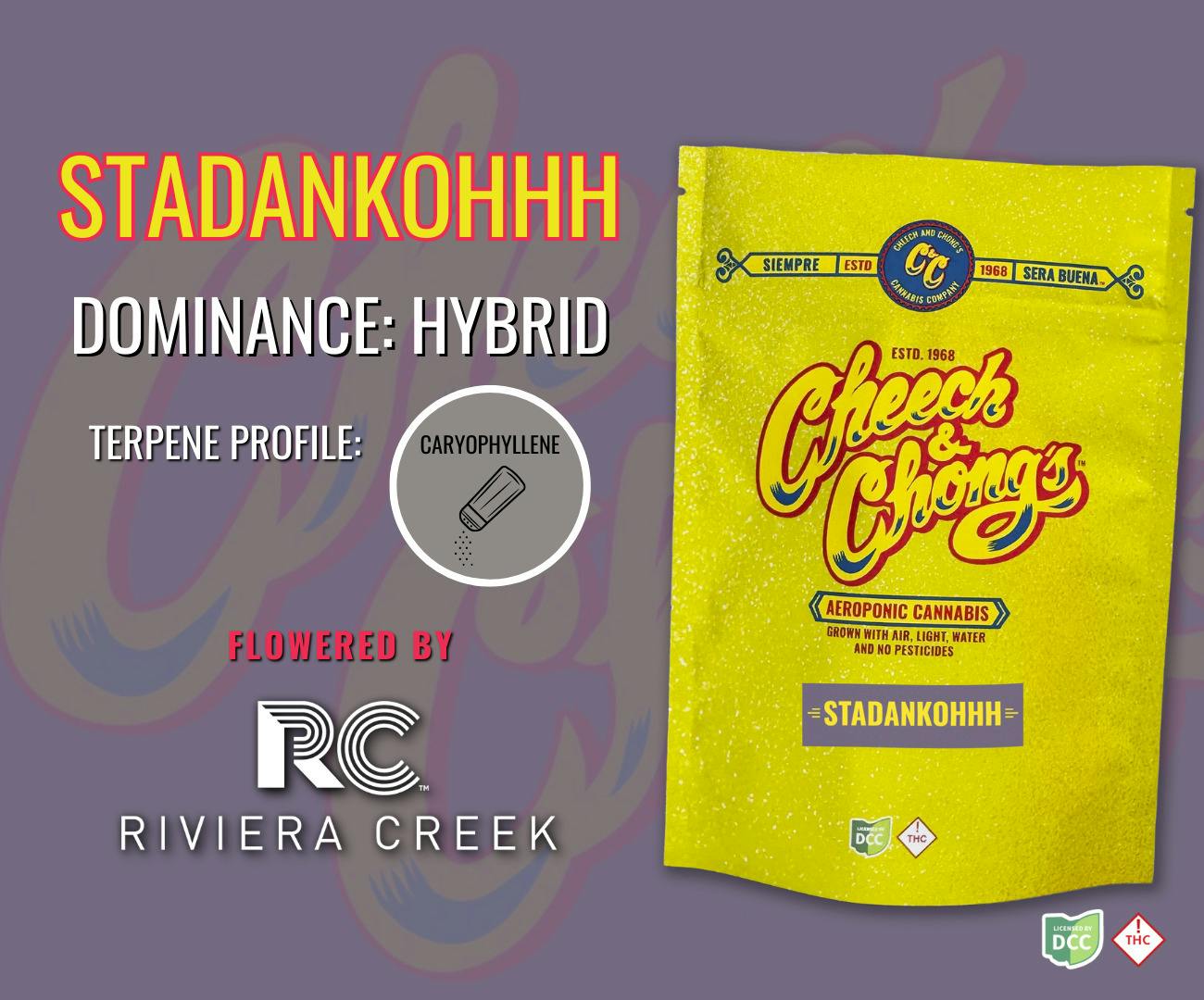 Cheech & Chong's: Stadankohhh