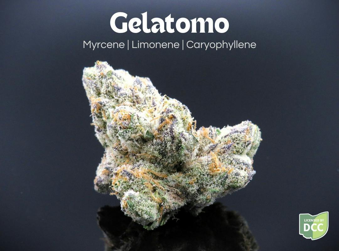 Farkas Farms: Gelatomo