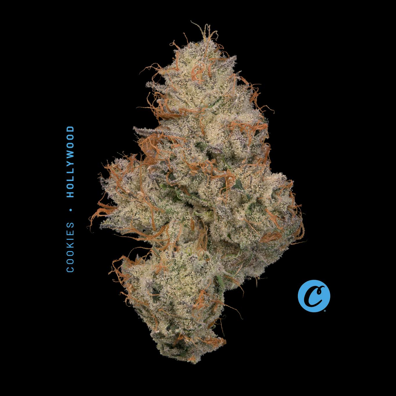 Cookies: Hollywood - 1