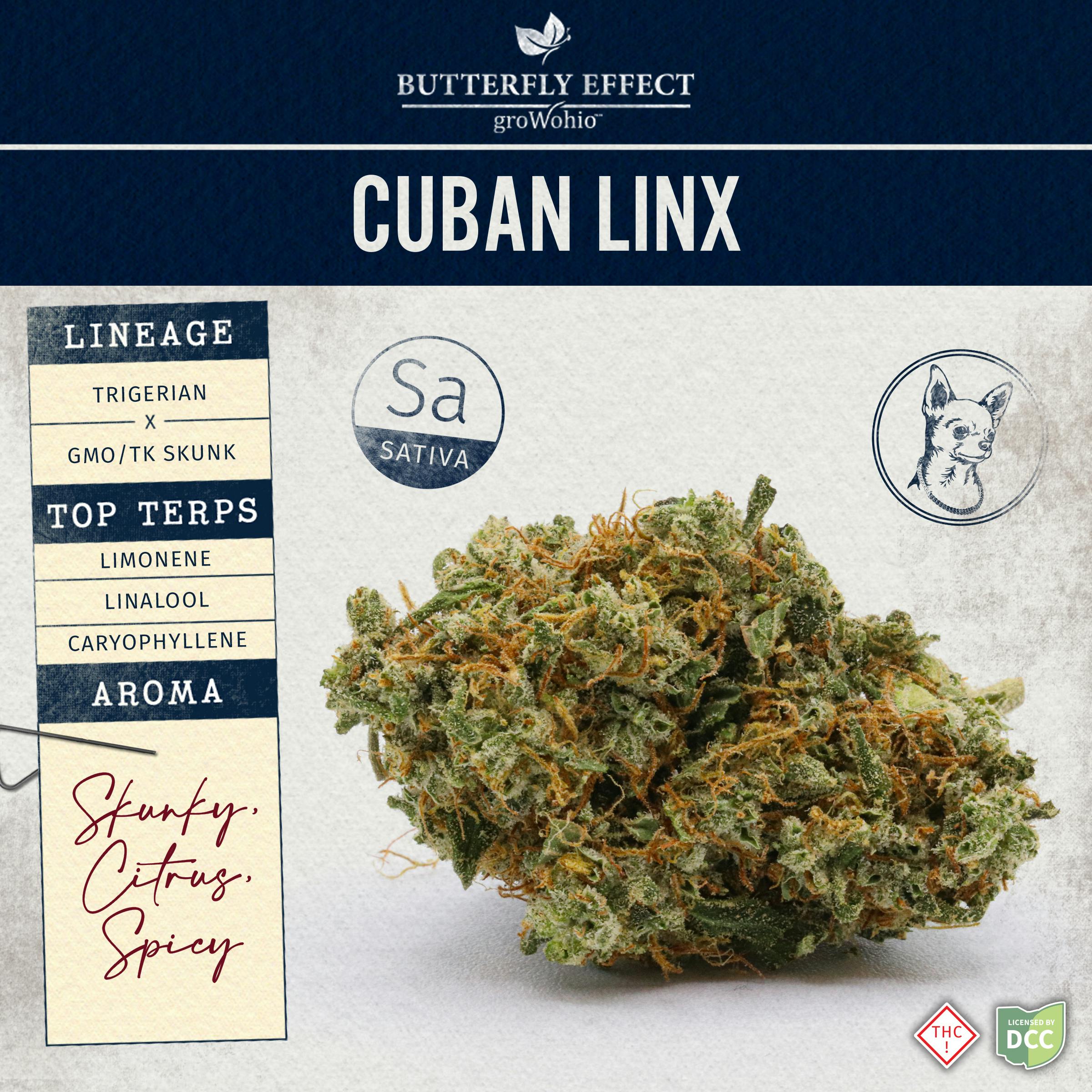 Butterfly Effect: Cuban Linx - Popcorn 1