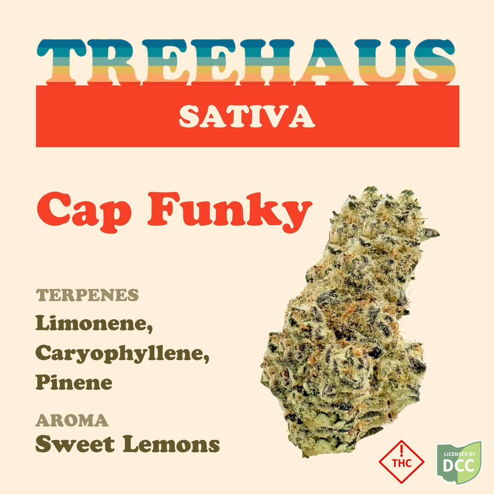 TreeHaus: Cap Funky