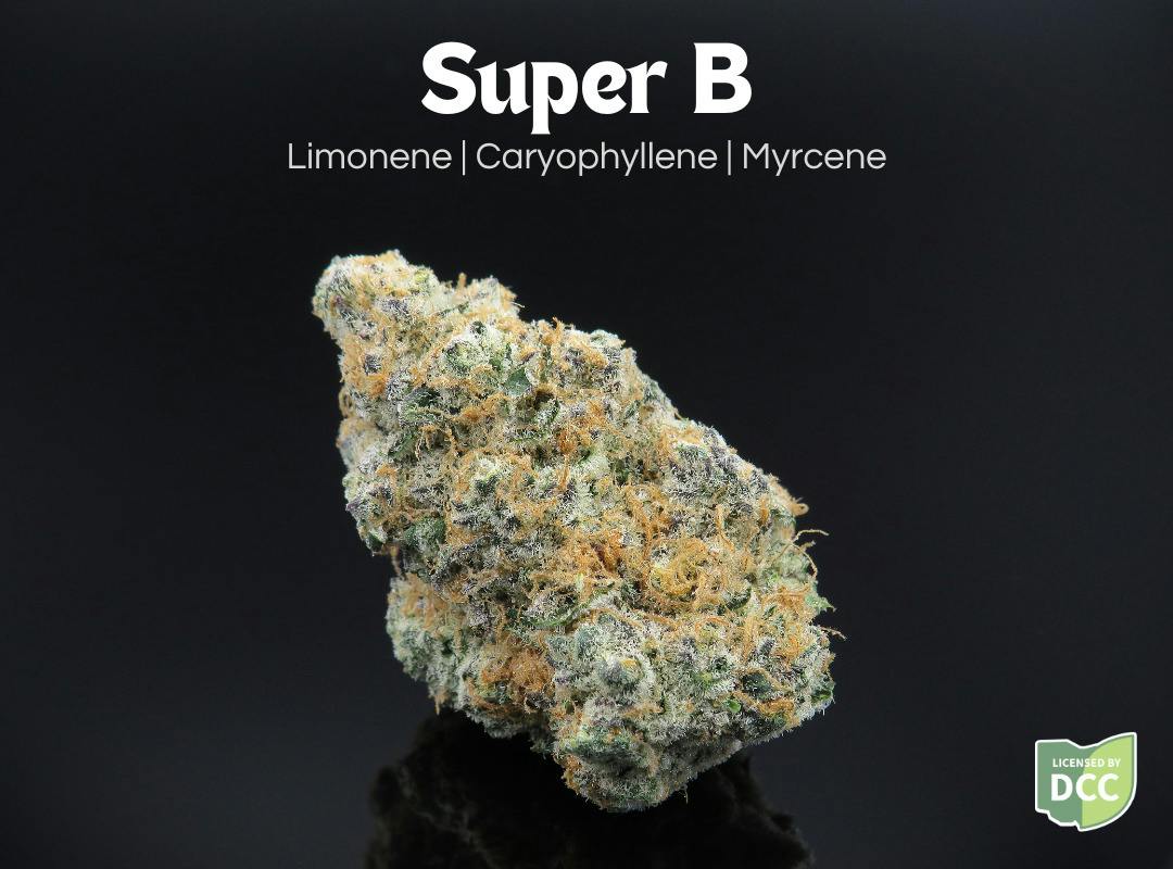 Farkas Farms: Super B