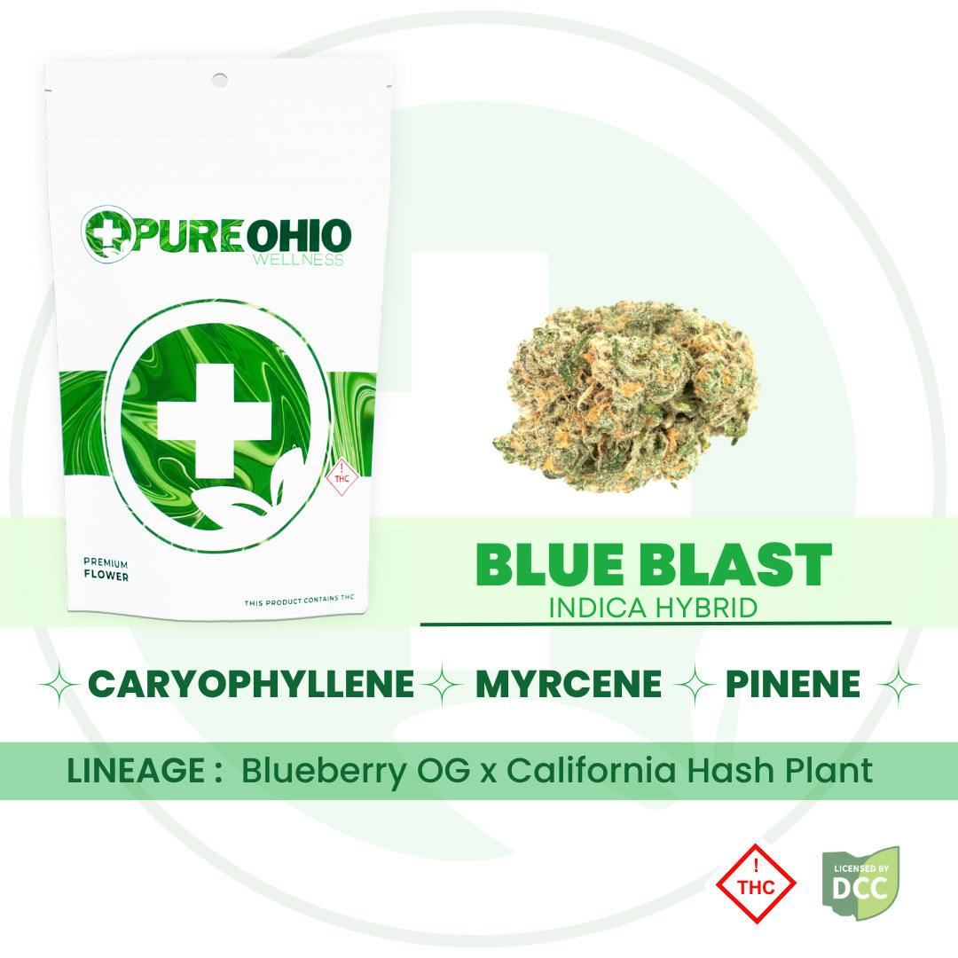 Pure Ohio Wellness: Blue Blast - Smalls 1
