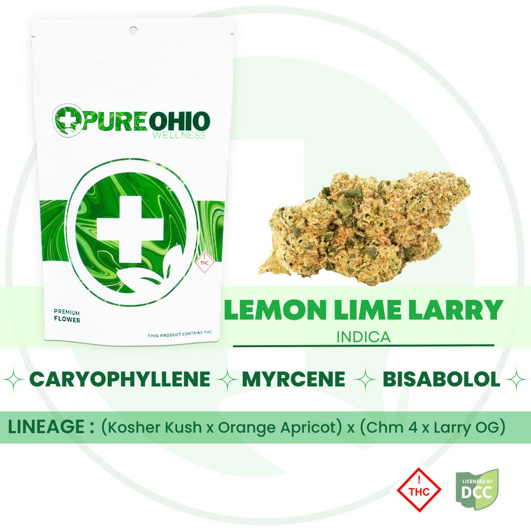 Pure Ohio Wellness: Lemon Lime Larry - Smalls 1