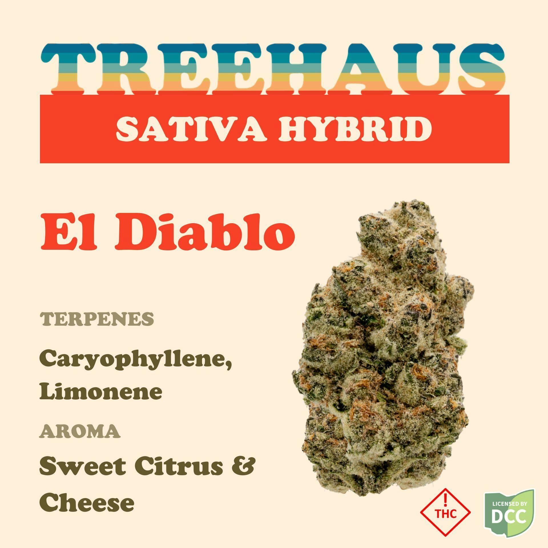 Treehaus: El Diablo