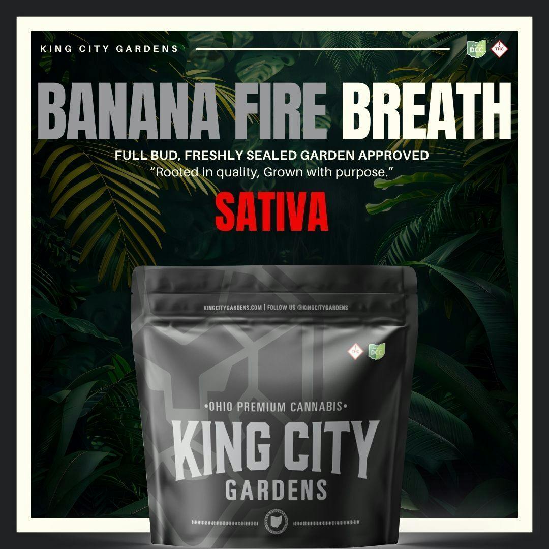 King City Gardens: Banana Fire Breath - Silver Smalls