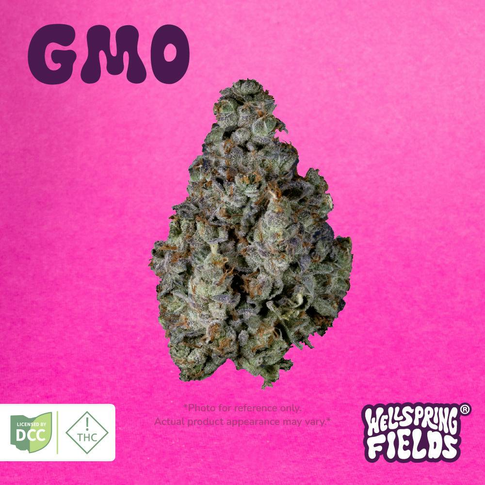 Wellspring Fields: GMO