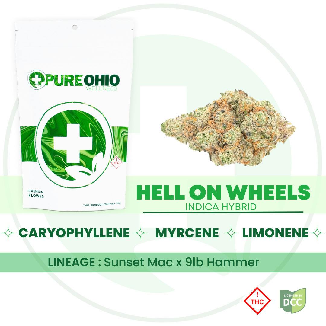 Pure Ohio Wellness: Hell On Wheels - Smalls 1