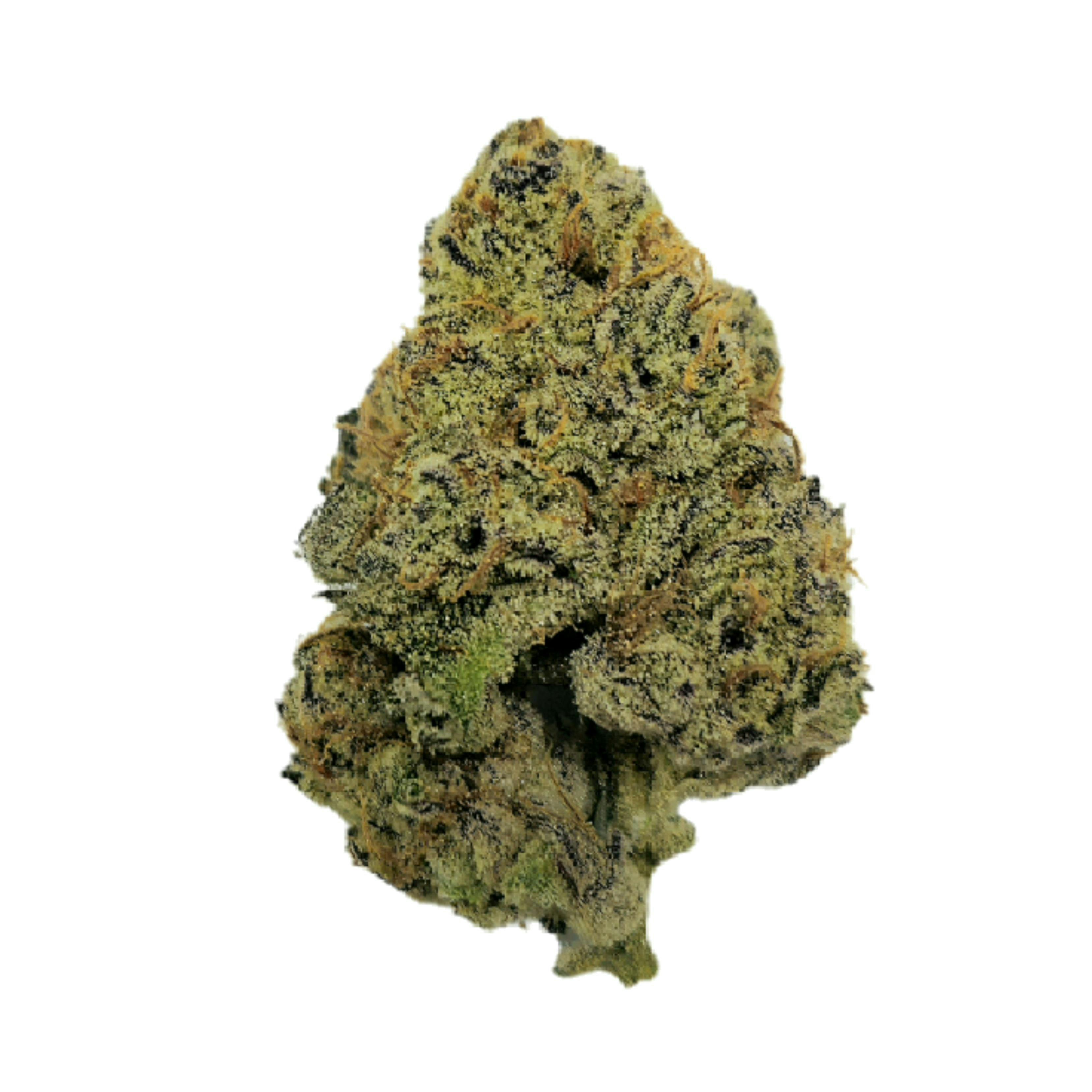 MOTA FLOWER - Blue Nerdz ( THC 22.51% TERP 3.33% )