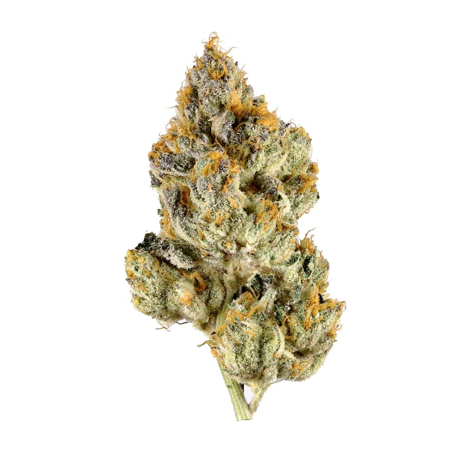 Green Mountain Farms - Flower - Gypsy Soap ( THC 28.19 % TERP 2.26% )
