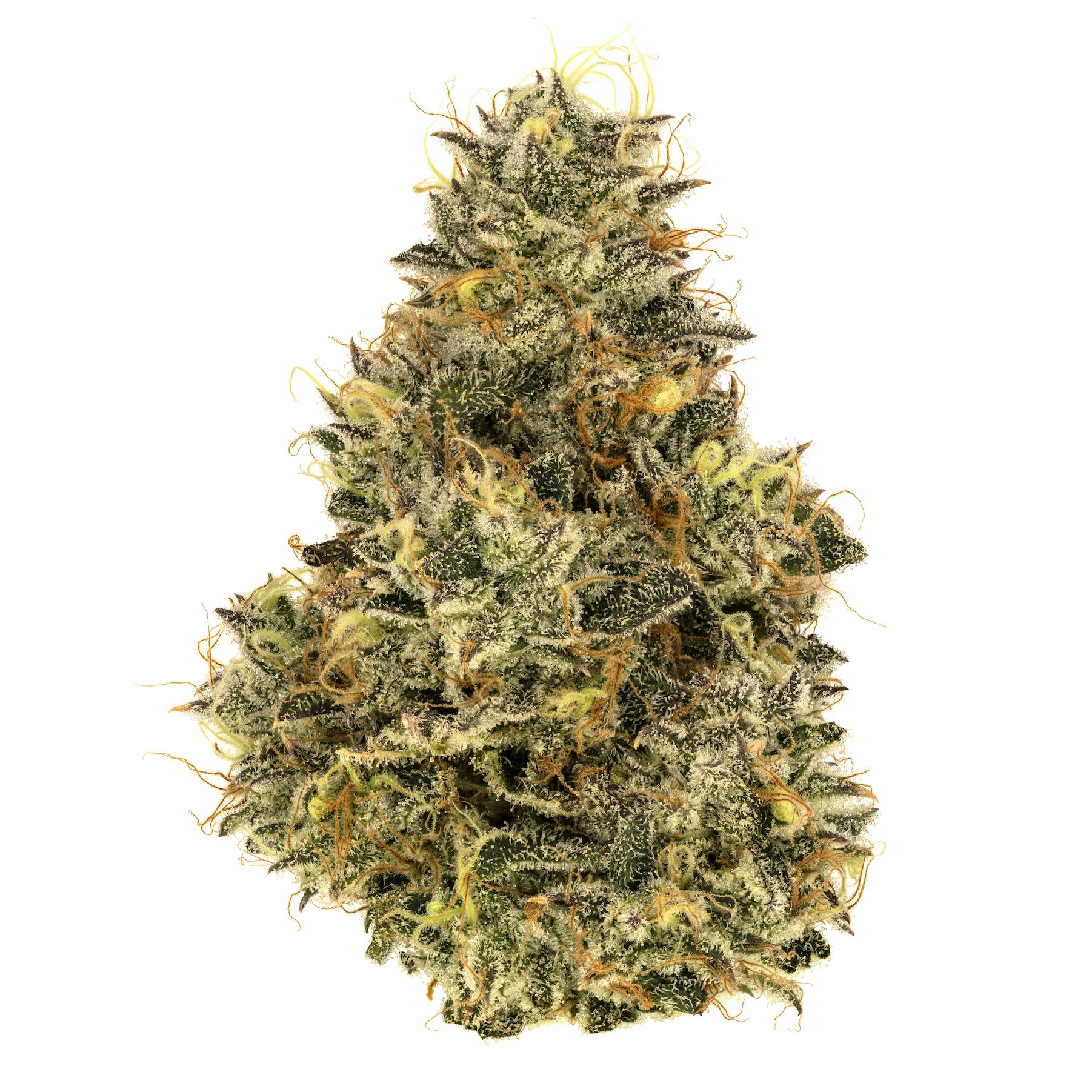 Rocking Star Farm - Mylar - Super Boof - 8g (THC 29.0895% TERP 1.41%)