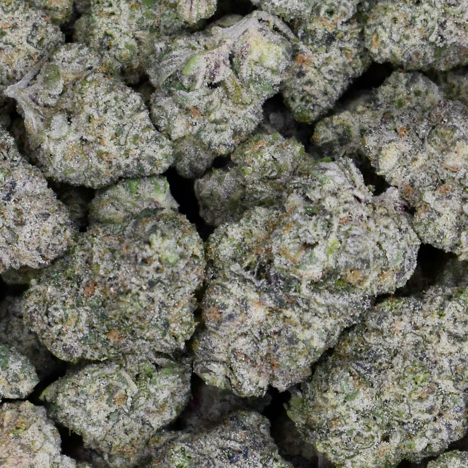 Buffalo Turf - Vice City 3.5 g (THC 26.5% TERP 4.4%)