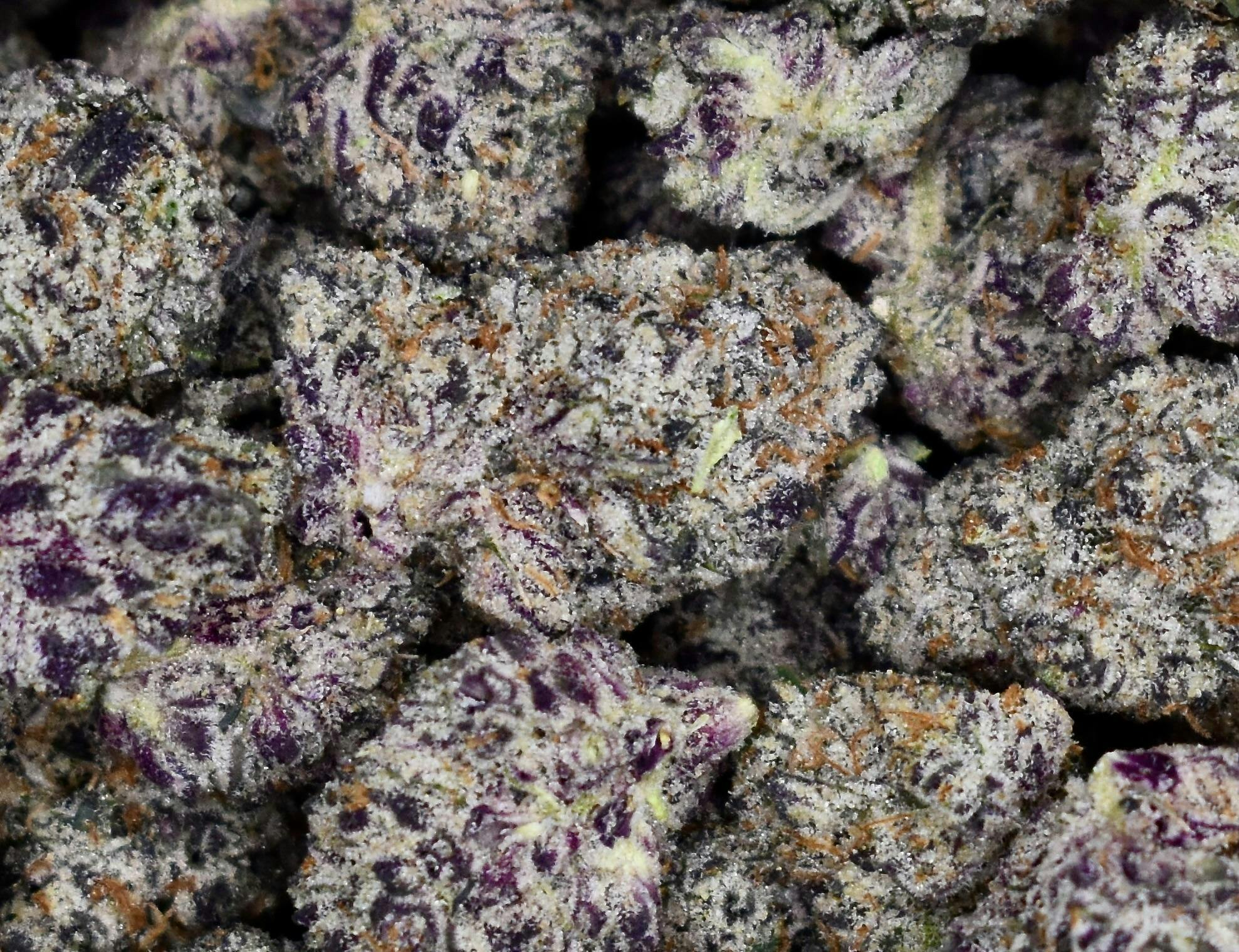Buffalo Turf -Chimera Kush 3.5g (THC25.32% TERP 4.90%)