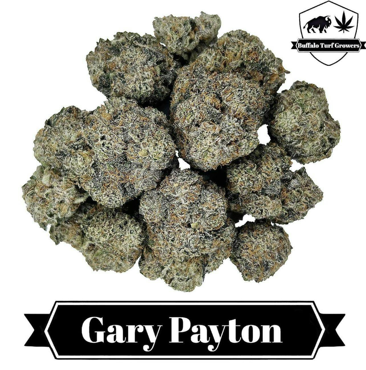 Buffalo Turf - Gary Payton (THC 26.4% TERP 3.3%)