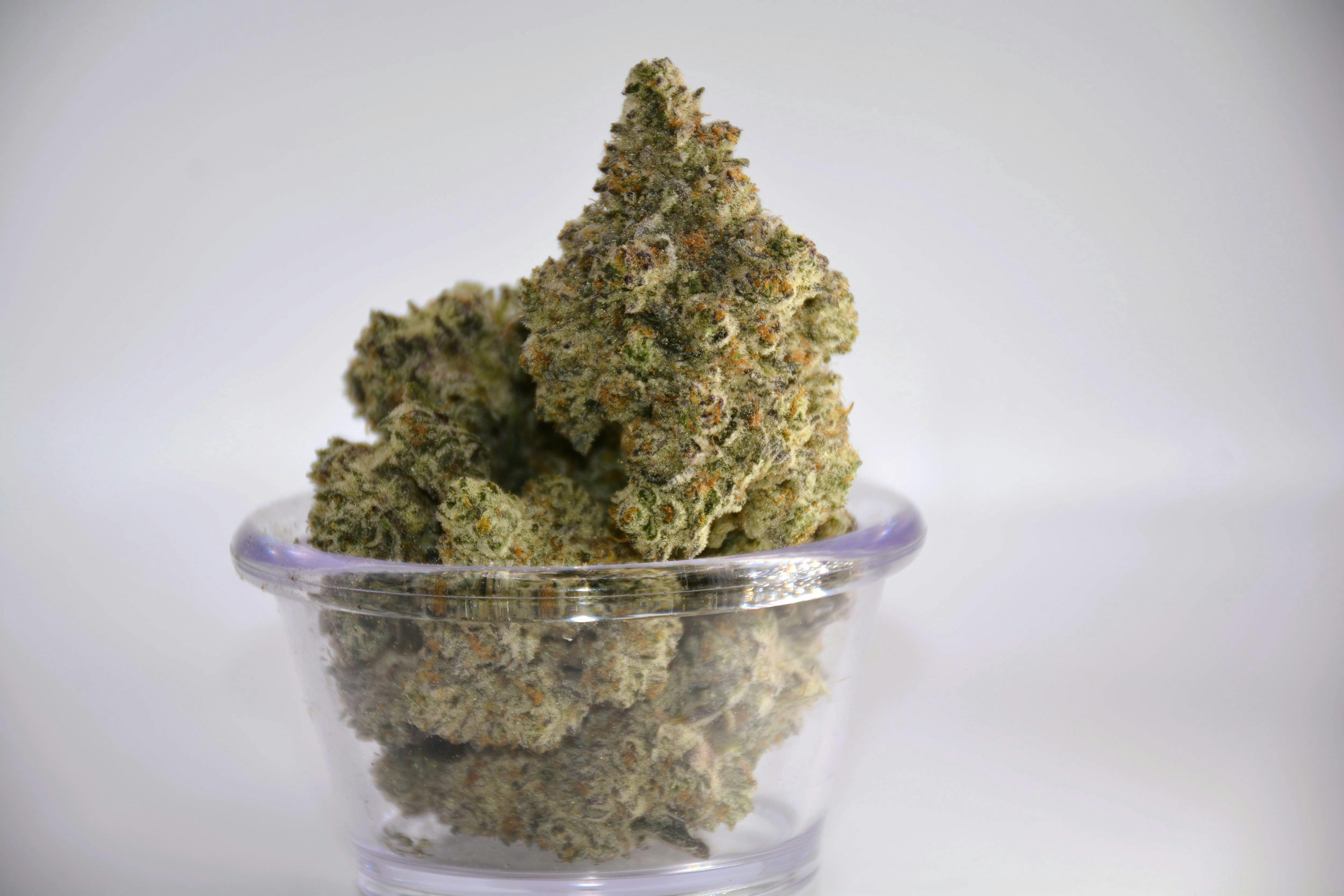 OCD Cultivation - OCTANE MINTS SORBET - 3.5g (THC 23.57%TERP 2.96%)