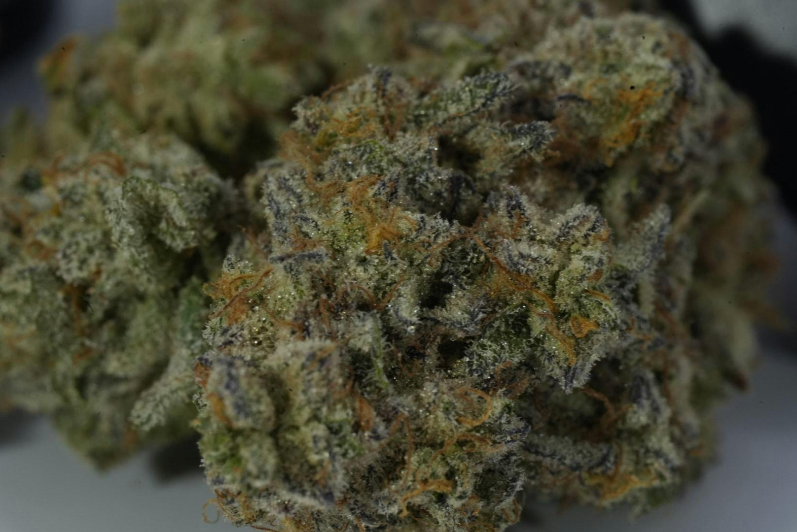 Green Dynasty Flower - RS11 - 3.5g (THC 31.43% TERP 3.21%)