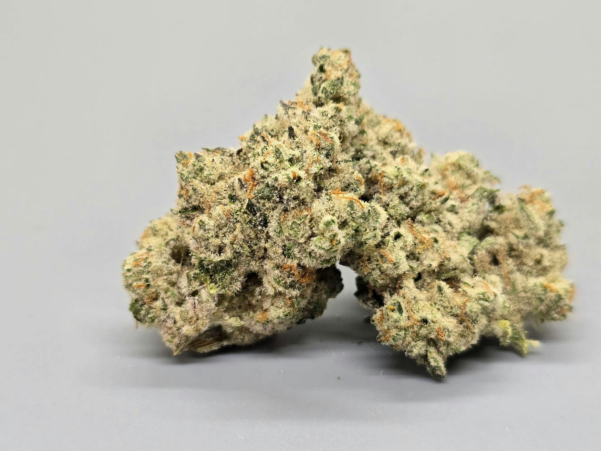 Rocking Star Farm - Mylar - Premium - Hunter's Moon - 8g ( THC 26.09%TERP 1.80%)