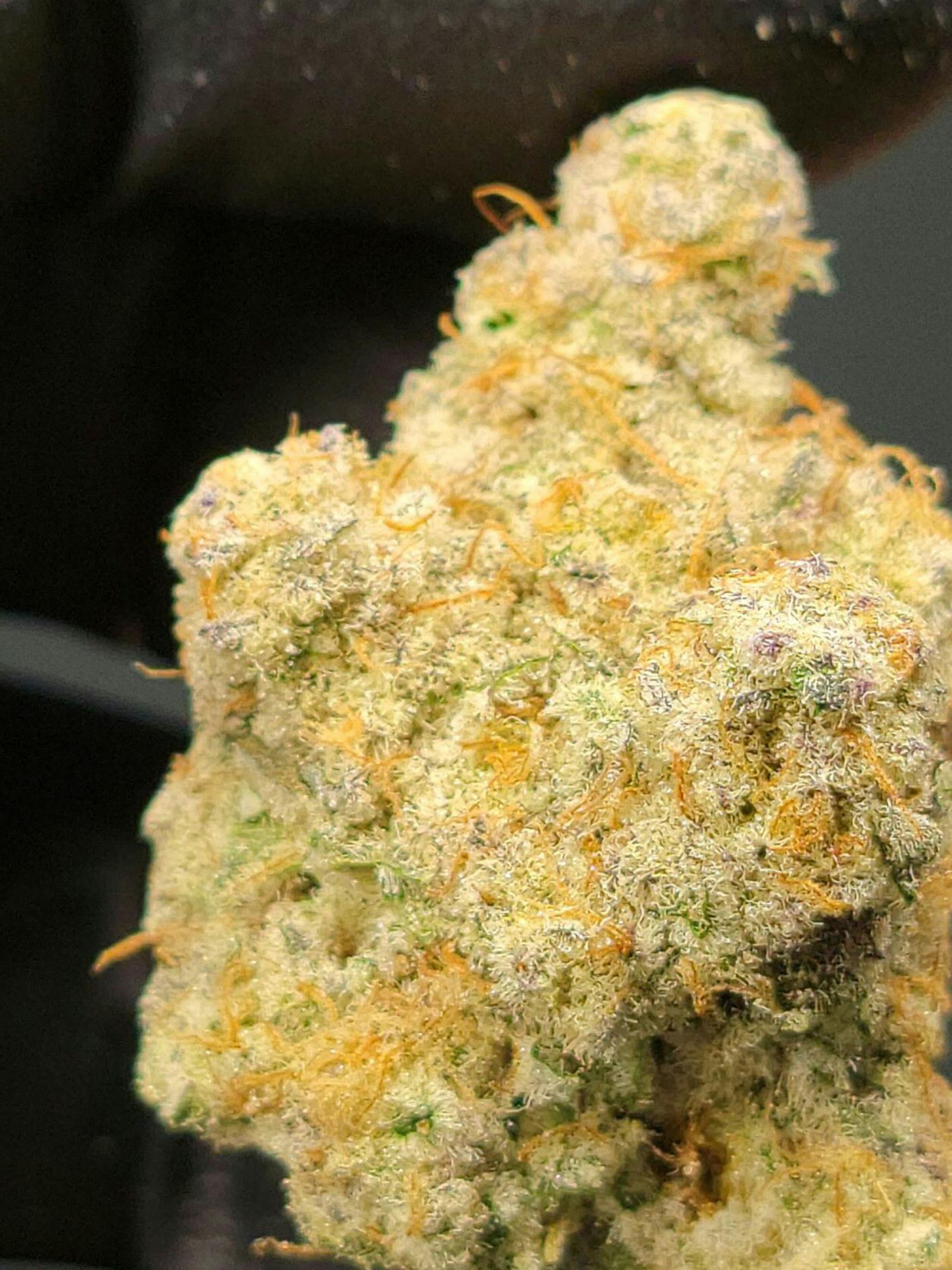Rocking Star Farm - Small's - Pablo's Pineapples - 28g Flower (THC 30.57% TP 3.02%)