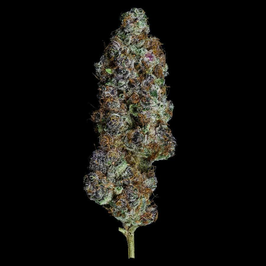GREEN DYNASTY Flower - RX Sugar - 3.5g (THC 33.77% TERP 3.05%)