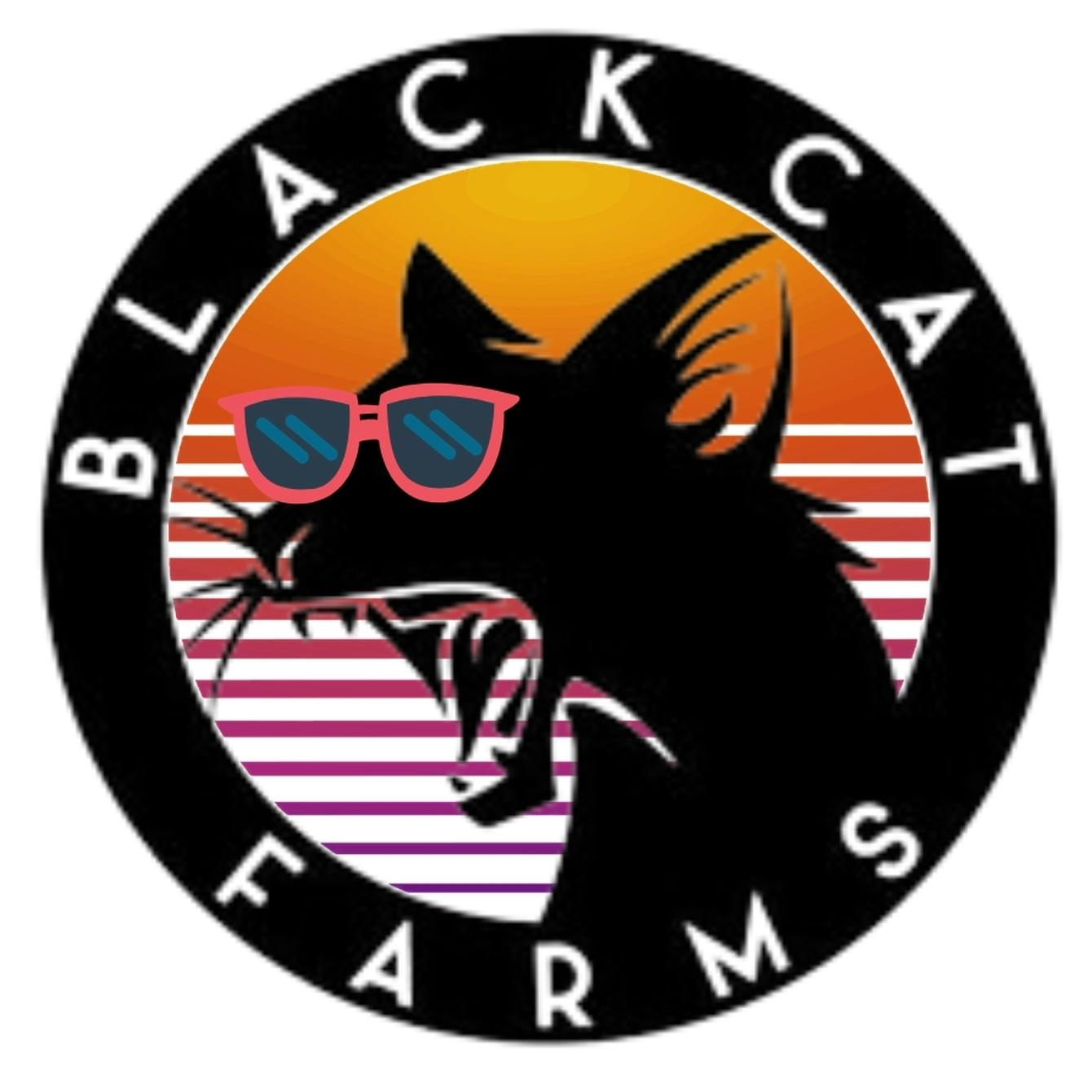 Black Cat Farms Flower - Strawnana Prepack 1 oz (Thc 20.60% terp 2.03%)