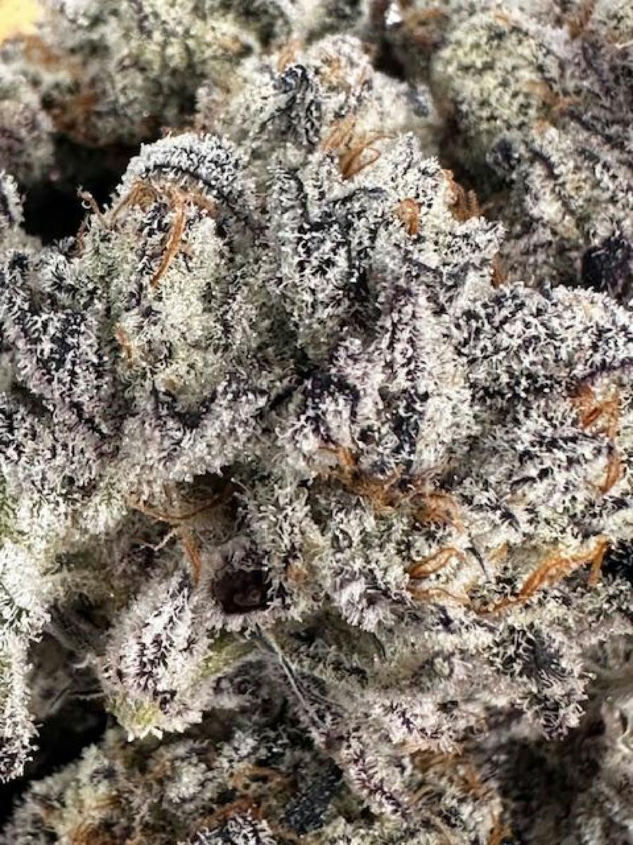 GRAM FLOWER - JUICY J ( THC 27.30% TERP 3.93% CBD 0.311%) 4G PACK