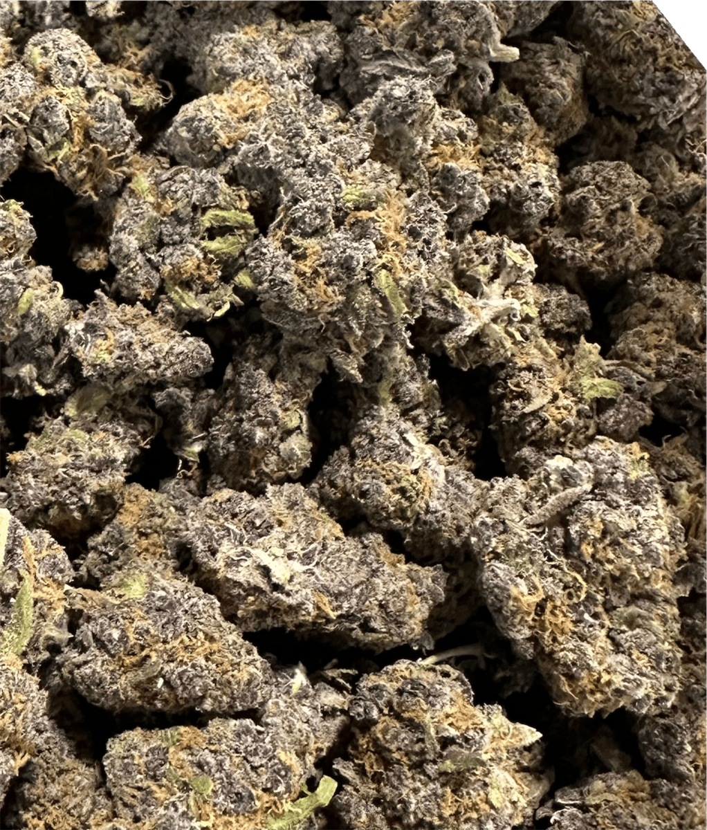 DYNASTY Flower - Funkdafied - 3.5g (THC 31.94% TERP 3.88%)