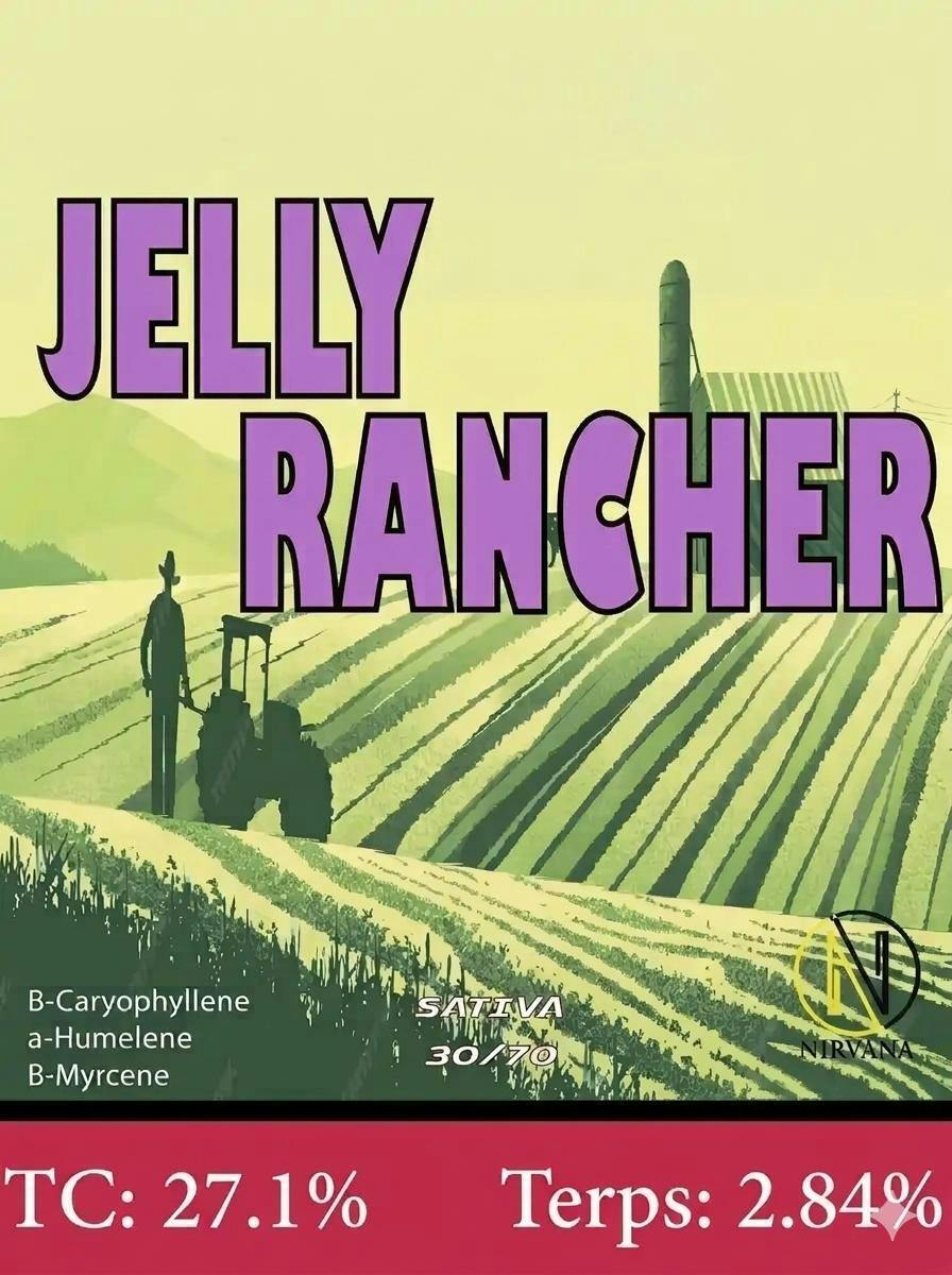 Nirvana Flower Jelly Rancher 3.5g Pre-pack (THC 27.10% TERP 2.84%)