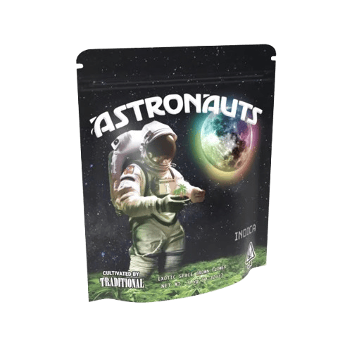 Astronauts: Space Dream