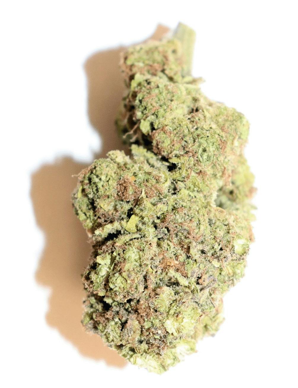 Vana | Pinnacle | Popcorn Flower