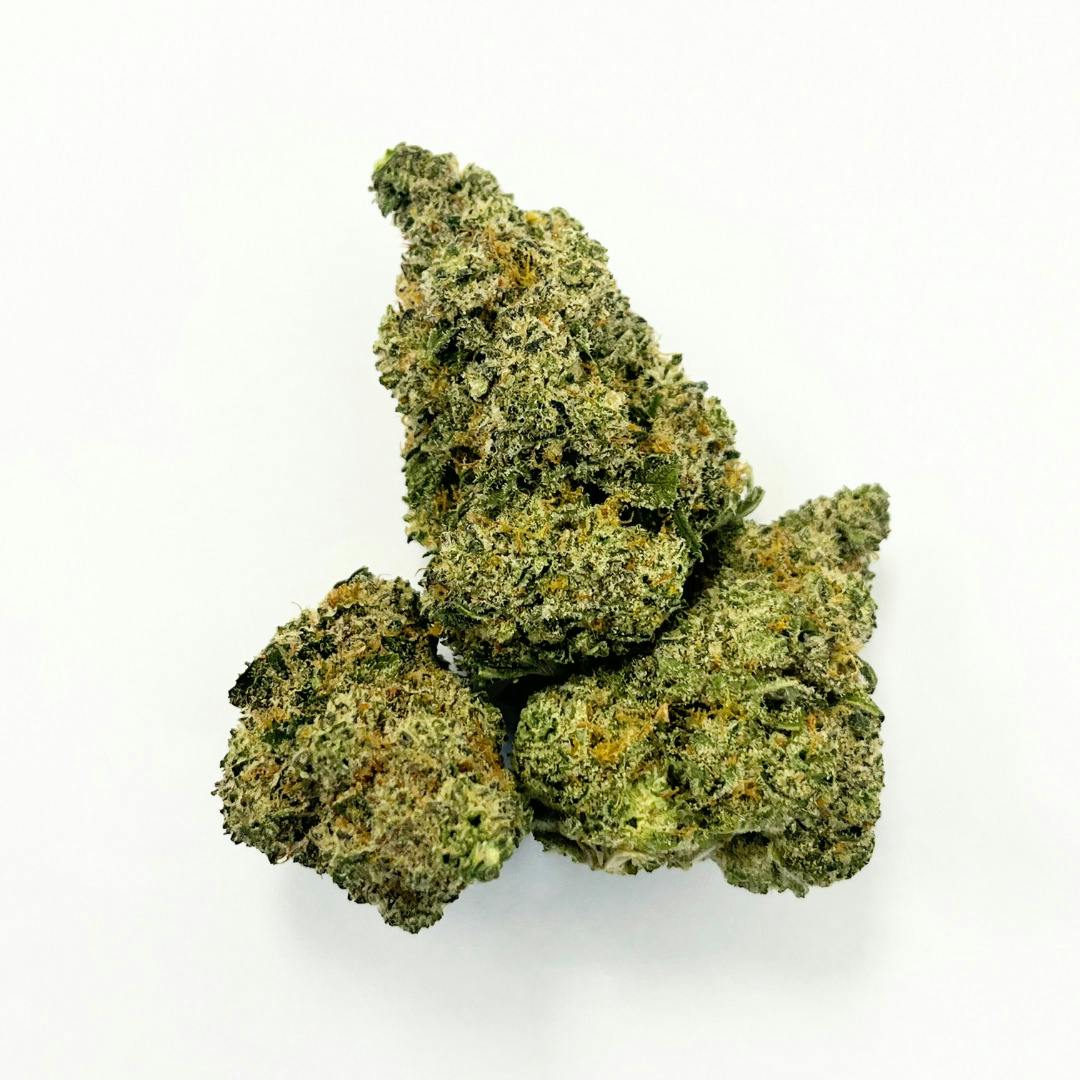 Vana | Wicked Glue | Flower