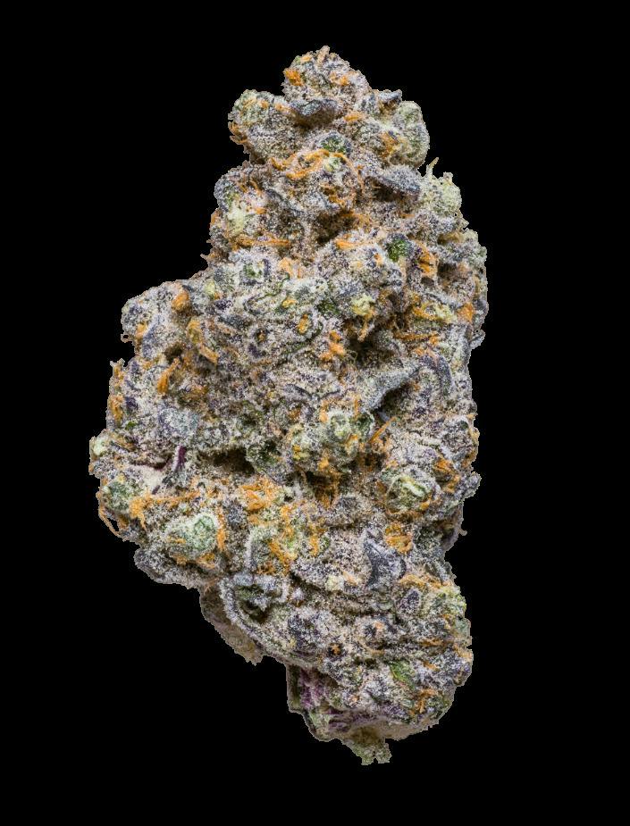 HOG Pineapple Burst Buds