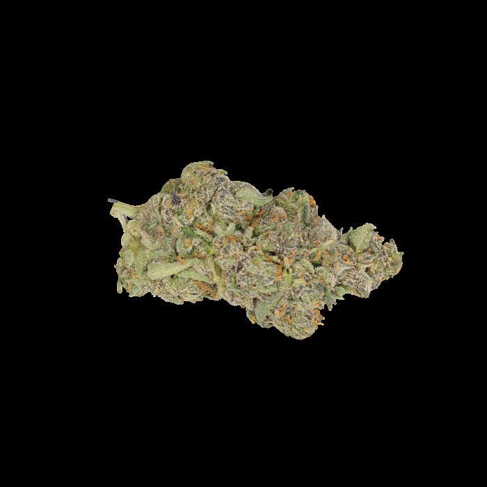 DogHouse Pink Passion Buds