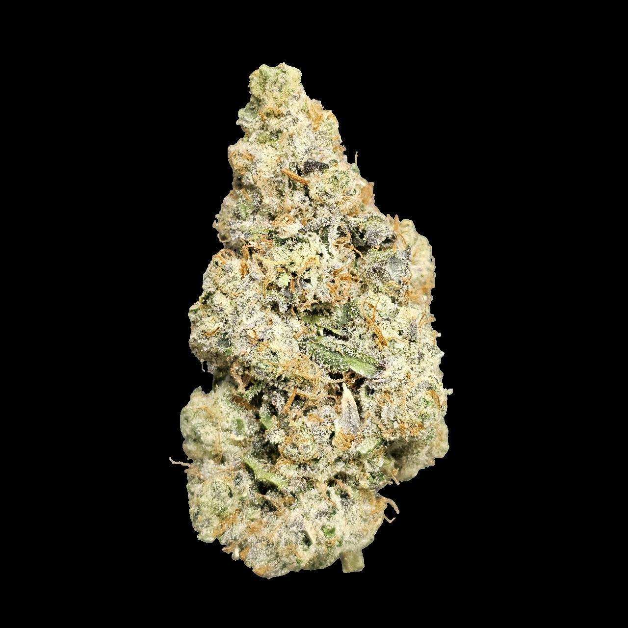 DR. JC's Exotics Frosted Oreos Buds at Higher Love Cannabis Dispensary Munising