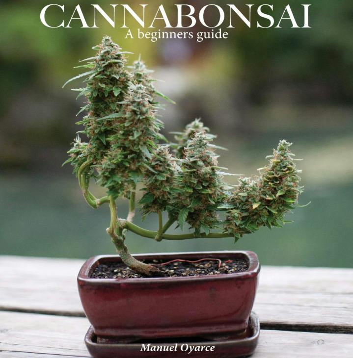 Cannabonsai : A Beginers Guide By Manuel Oyarce