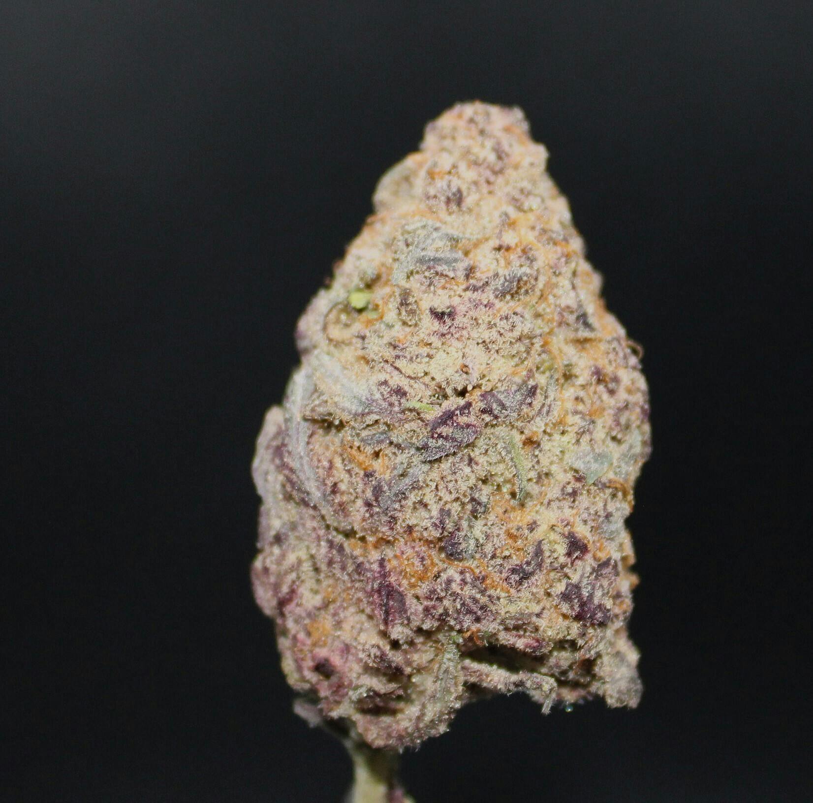 Nature's Medicine Sub Zero Buds at Higher Love Cannabis Dispensary Munising