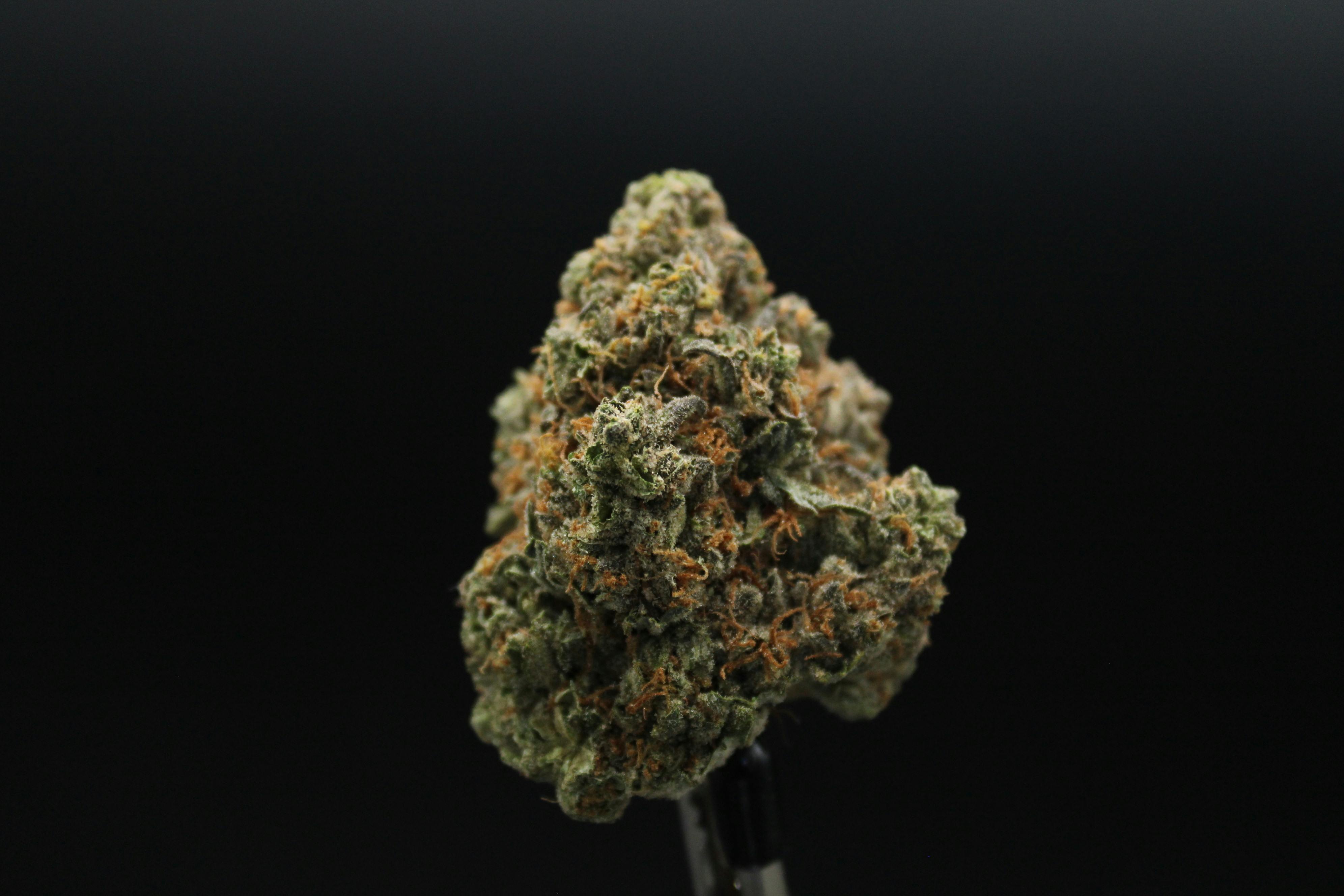 Shaka Street Tarts Buds at Higher Love Cannabis Dispensary Munising