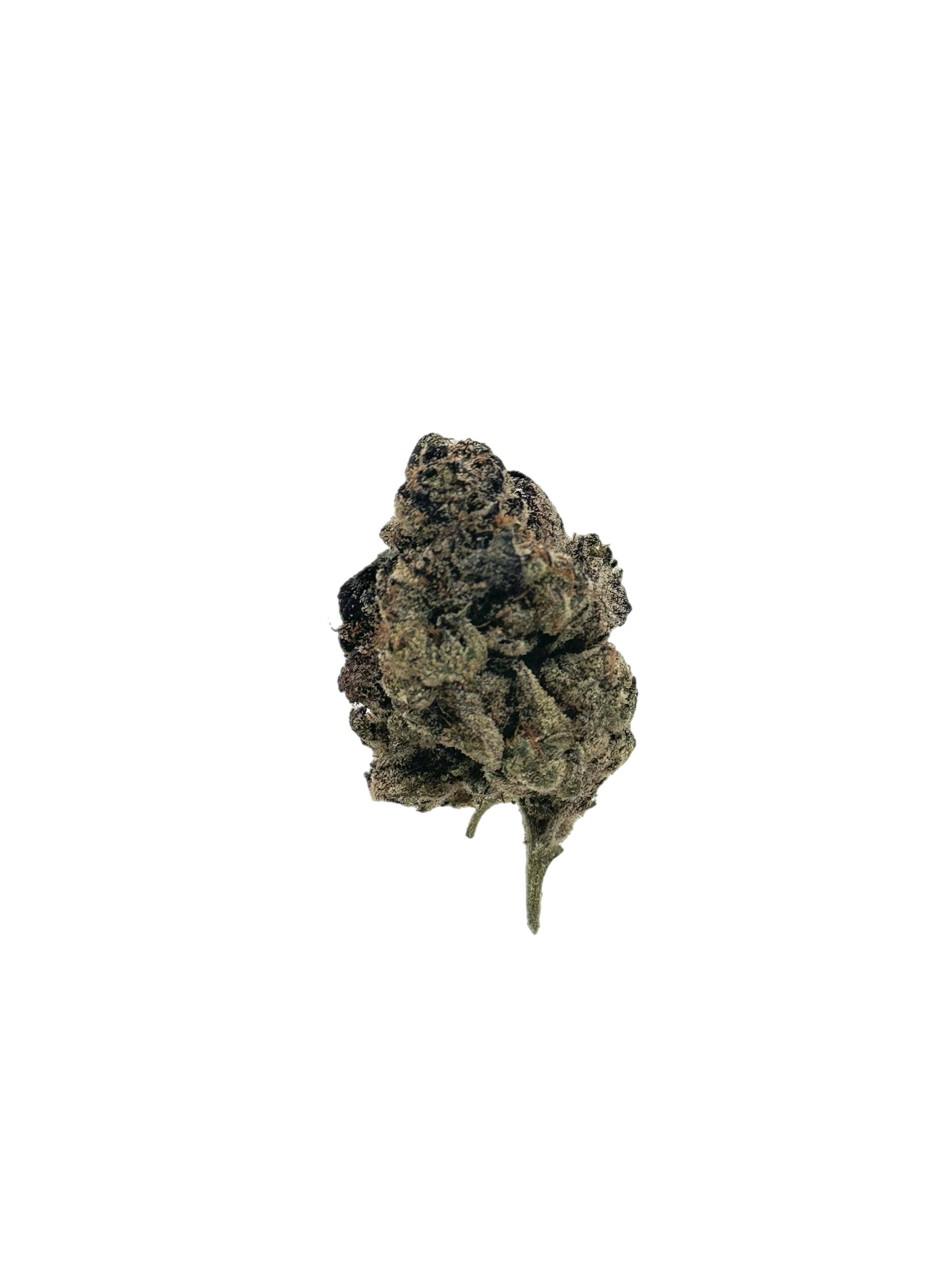 Springtime Whiplash Buds at Higher Love Cannabis Dispensary Munising