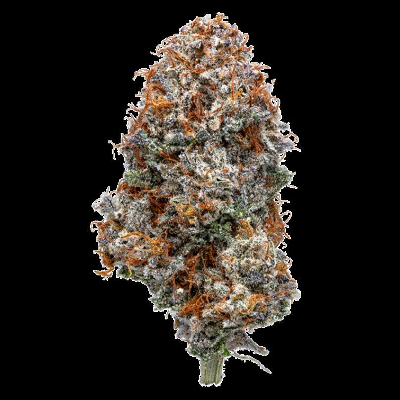 Verde Valley Thai Cherry Buds