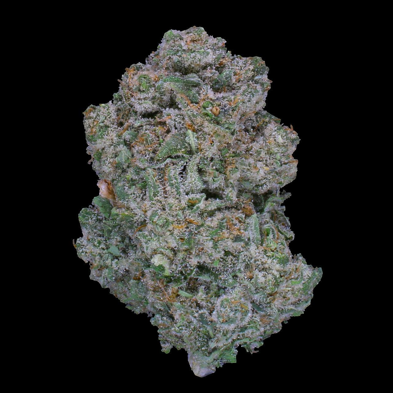 Verde Valley White Gushers Buds