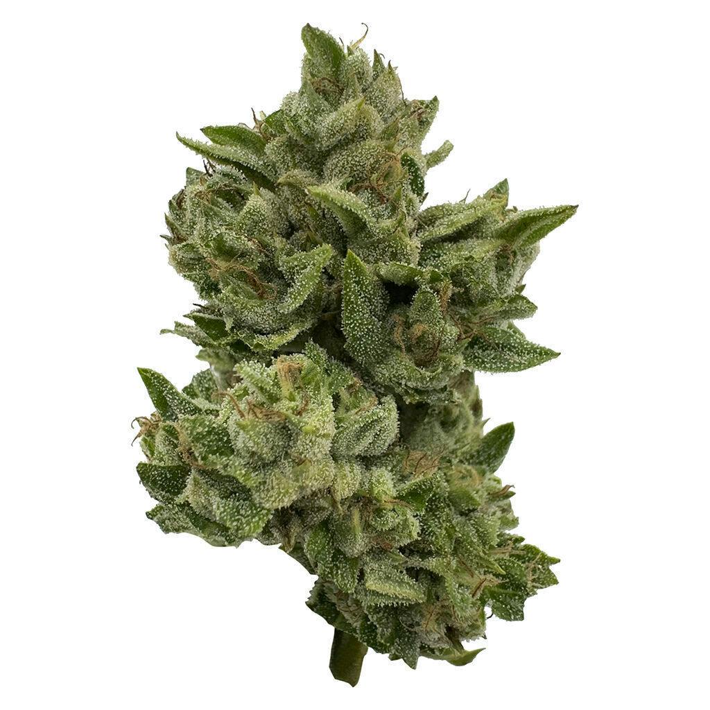 Deelish - Pretty Sweet Sativa - Sativa - 28g