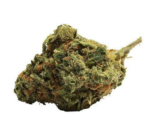 48North - Where's My Bike 3.5g Dried Flower